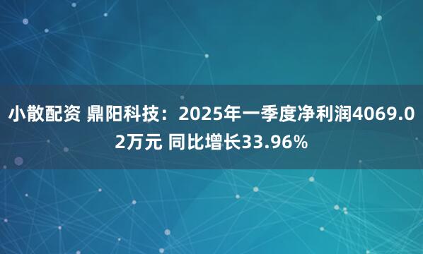 小散配资 鼎阳科技：2025年一季度净利润4069.02万元 同比增长33.96%
