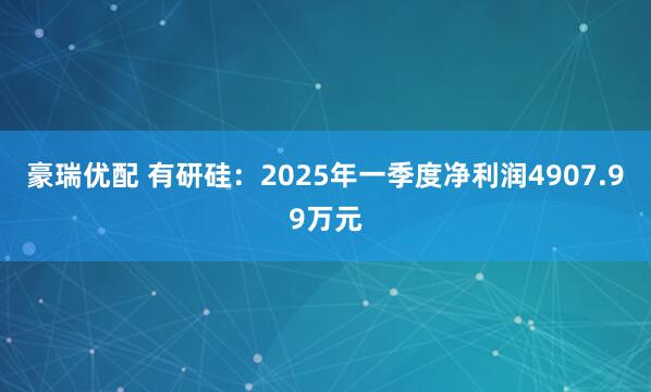 豪瑞优配 有研硅：2025年一季度净利润4907.99万元