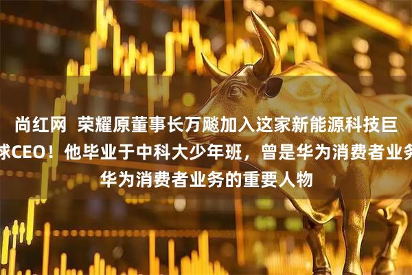 尚红网  荣耀原董事长万飚加入这家新能源科技巨头，任职全球CEO！他毕业于中科大少年班，曾是华为消费者业务的重要人物