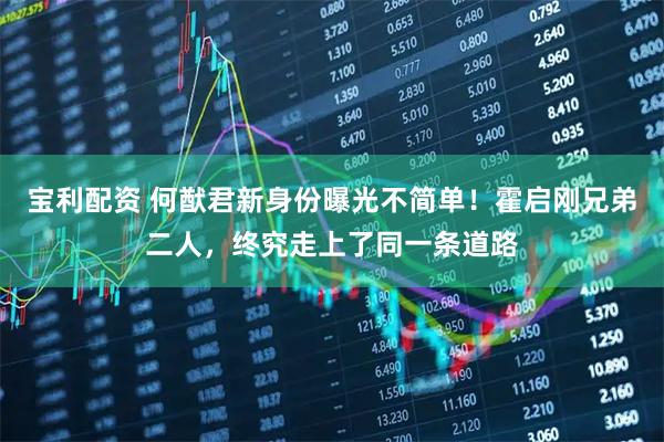 宝利配资 何猷君新身份曝光不简单！霍启刚兄弟二人，终究走上了同一条道路