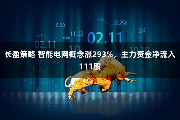 长盈策略 智能电网概念涨293%，主力资金净流入111股