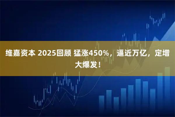 维嘉资本 2025回顾 猛涨450%，逼近万亿，定增大爆发！