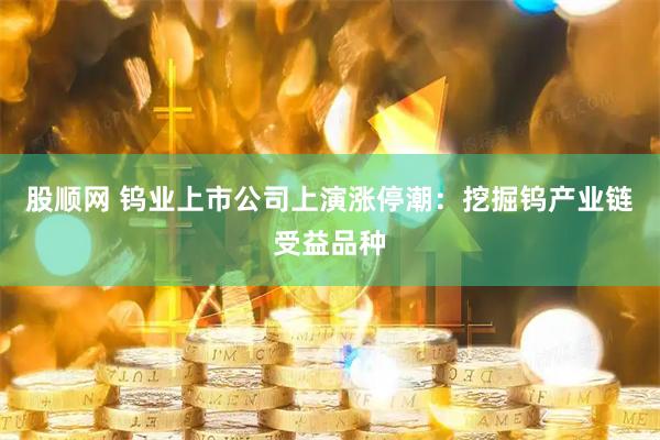 股顺网 钨业上市公司上演涨停潮：挖掘钨产业链受益品种