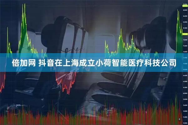 倍加网 抖音在上海成立小荷智能医疗科技公司