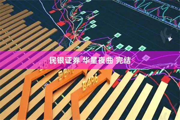 民银证券 华星夜曲 完结